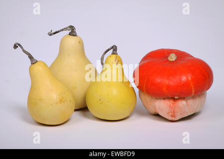 Gourdes et colorées différentes citrouilles décorées sur fond blanc Banque D'Images