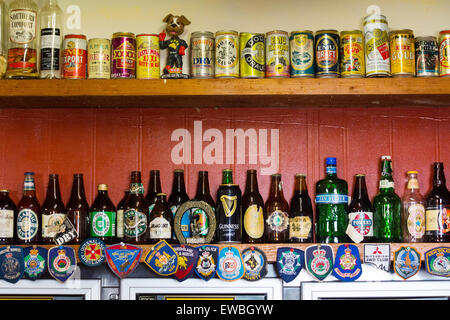 Collecte de bouteilles et cannettes de bière à l'intérieur de la Outback Pub à talon bleu dans le Queensland, Australie Banque D'Images