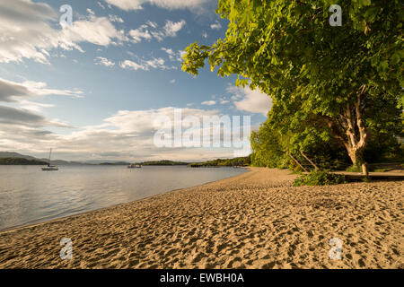 Sur la plage un matin au début de l'été - Luss, Ecosse, Royaume-Uni Banque D'Images