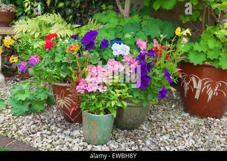 Coin ombragé d'un jardin avec les conteneurs remplis de fleurs colorées Banque D'Images