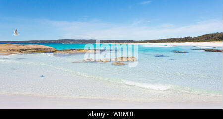 Sable blanc et eau turquoise sur une belle plage le long de la Baie d'incendies dans la région de la côte nord-est de la Tasmanie, Australie Banque D'Images