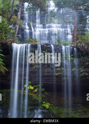 Russell Falls Mount Field National Park, New Caledonia Banque D'Images