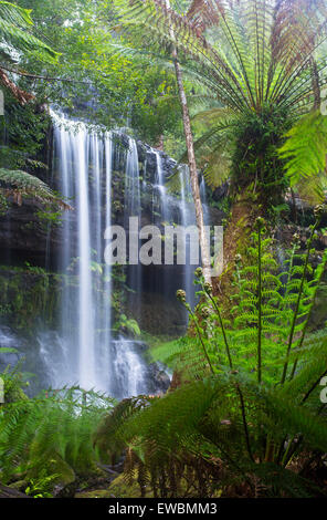 Russell Falls Mount Field National Park, New Caledonia Banque D'Images