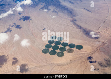Vue aérienne de cercles de culture irriguée vert dans une vaste étendue de brun dans le désert de Mojave en Californie. Banque D'Images