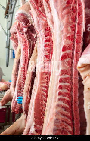 La viande fraîche de porcs dans une usine de coupe à froid Banque D'Images