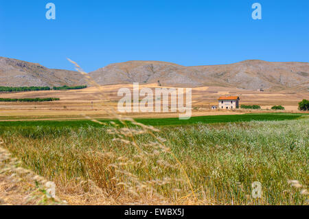 Italie Pouilles Province de Bari en pays Banque D'Images