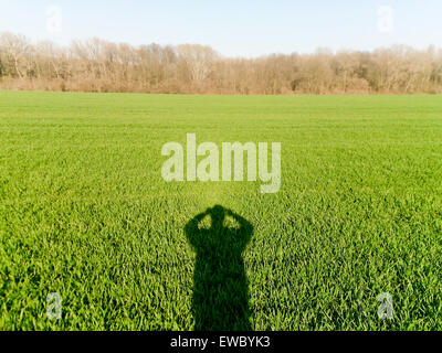 Ombre de l'homme avec un téléphone mobile ou un appareil photo pour prendre des photos de jeunes champ de blé vert à côté de la forêt dans une journée ensoleillée un Banque D'Images