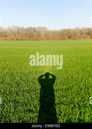 Ombre de l'homme avec un téléphone mobile ou un appareil photo pour prendre des photos de jeunes champ de blé vert à côté de la forêt dans une journée ensoleillée un Banque D'Images