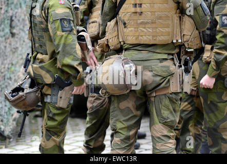 Münster, Allemagne. 22 Juin, 2015. Soldats norvégiens de la Force de réaction de l'OTAN sont illustrés avant une visite de plusieurs ministres de la Défense à Muenster, Allemagne, 22 juin 2015. L'unité internationale dans la région de Muenster en ce moment constitue le soi-disant "pearhead' du très haut degré de disponibilité Joint Task Force (VJTF). Photo : CAROLINE SEIDEL/dpa/Alamy Live News Banque D'Images