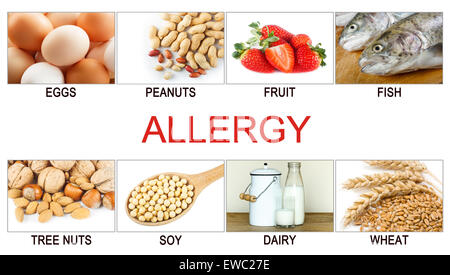 Allergie alimentaire concept. Allergènes alimentaires comme les œufs, le lait, les fruits, les noix, les arachides, le soja, le blé et le poisson. Banque D'Images