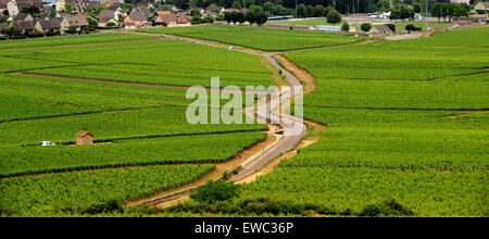 Beaune Premier Cru vignes en Bourgogne France Banque D'Images