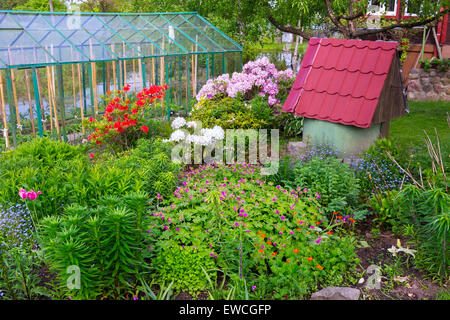 Les buissons d'un rhododendron rose et rouge dans un paysage européen fine garden. Arbustes décoratifs arbres et fleurs sur un lit près de Banque D'Images