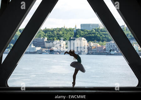 Silhouette de ballerine en tutu blanc gracieux Banque D'Images