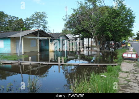 Ruas do Município de alagadas Barreirinha, crecer pela das Águas do Paraná do Ramos (Braço do Rio Amazonas), 331 km de Manaus, Banque D'Images