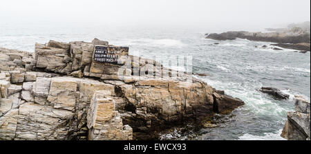 Un épais brouillard au-dessus des récifs et gris avec de vieux surf sign painted on rock Banque D'Images