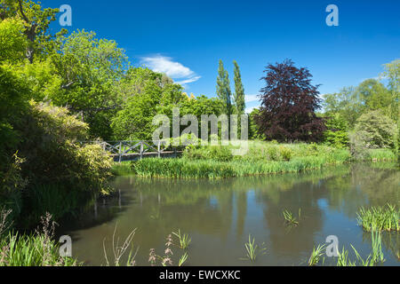 Pont de bois à travers une rivière. Banque D'Images