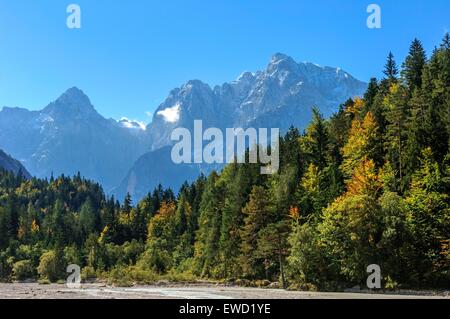 Alpes Juliennes avec Razor et Prisojnik viewd en Kranjska Gora. La Slovénie Banque D'Images