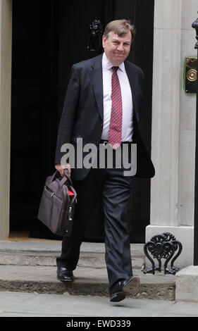 Londres, Royaume-Uni, 23 juin 2015 : John Whittingdale vu à Downing Street à Londres : Crédit WFPA/Alamy Live News Banque D'Images