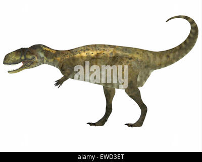 Abelisaurus était un dinosaure théropode carnivore qui vivait dans la période du Crétacé de l'Argentine. Banque D'Images