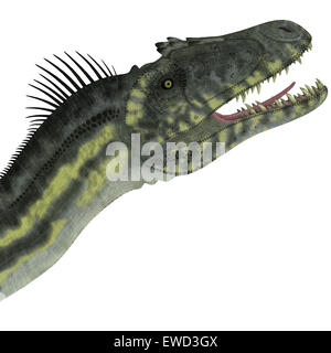 Deltadromeus était un théropode dinosaure carnivore qui vivait en Afrique du Nord pendant la période du Crétacé. Banque D'Images