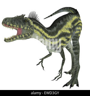 Deltadromeus était un théropode dinosaure carnivore qui vivait en Afrique du Nord pendant la période du Crétacé. Banque D'Images