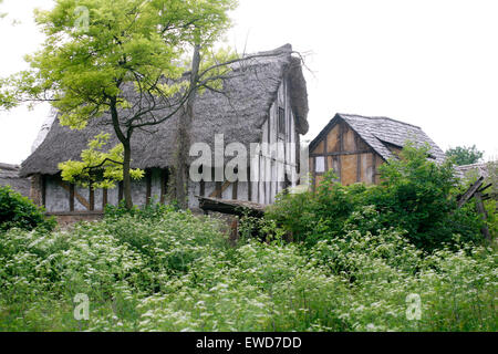 L'architecture en bois des maisons rurales vintage milieu de la forêt Banque D'Images