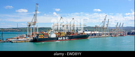 Port de Koper Slovénie avec navire-conteneur MSC Adriana amarré sous des grues de déchargement de chargement Banque D'Images