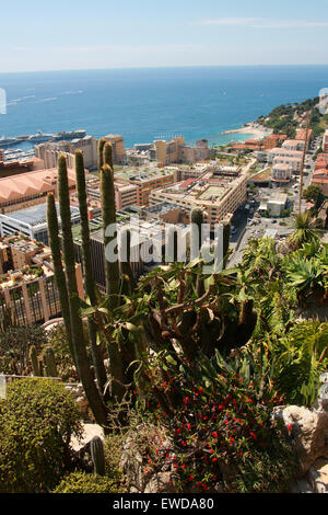 De Monaco Monaco Jardins Botaniques, CÔTE D'Azur, sud de la France. Banque D'Images