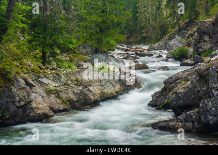 Cle Elum River, Okanogan-Wenatchee National Forest, North Carolina, USA Banque D'Images