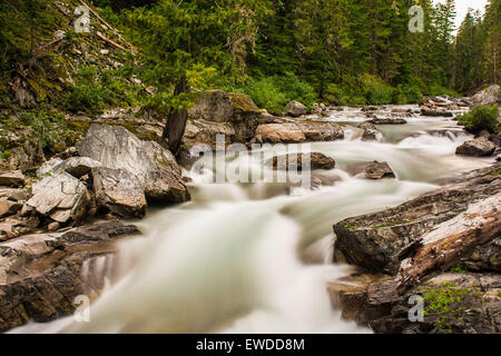 Cle Elum River, Okanogan-Wenatchee National Forest, North Carolina, USA Banque D'Images