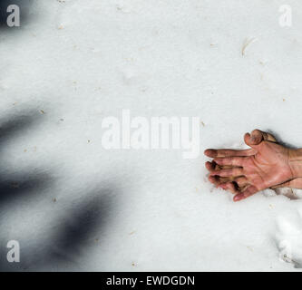 La neige vierge avec aiguilles de pins bordé par les ombres et mâle et femelle main droite avec les doigts entrelacés de façon romantique en bas à droite Banque D'Images