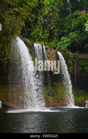 L'CHAMPEE Cascade est situé sur le PLATEAU DES BOLAVENS près de Pakse, LAOS DU SUD - Banque D'Images