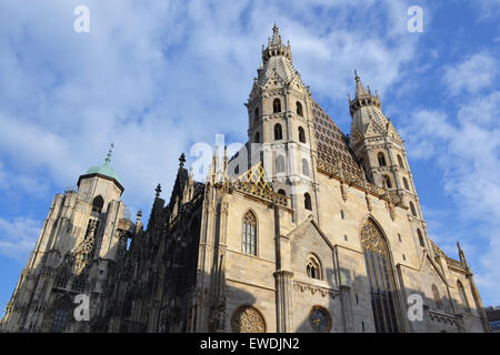 La cathédrale Saint-Étienne de Vienne, Autriche Banque D'Images