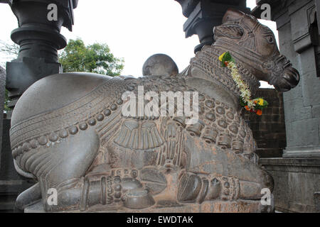 Nandi à Shri Kshetra Mahuli Temple à Satara, Maharashtra Banque D'Images