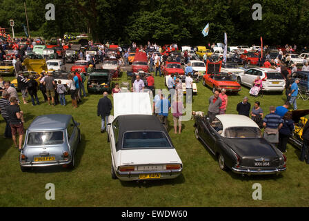 La foule rassemblée dans un salon de voitures, Hindhead, Hampshire, Royaume-Uni. Banque D'Images