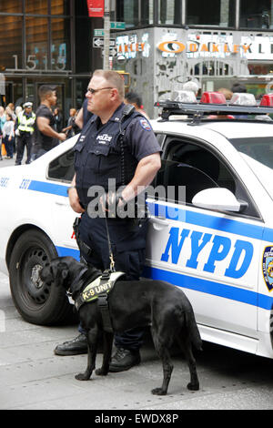 L'unité K-9 NYPD police dog et handler, Times Square, Manhattan, New York City, USA Banque D'Images