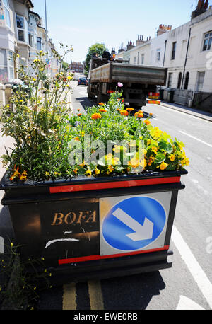 Brighton, UK. 24 Juin, 2015. La controverse l'apaisement de la circulation routière viaduc en pots Brighton sont maintenant éclater de vie avec fleurs sauvages y compris les fleurs coquelicots entrée en quatre jardinières a causé des remous quand ils ont été introduits par le conseil municipal en février et ont été qualifiés de dangereux par les conducteurs et les résidents locaux Banque D'Images