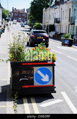 Brighton, UK. 24 Juin, 2015. La controverse l'apaisement de la circulation routière viaduc en pots Brighton sont maintenant éclater de vie avec fleurs sauvages y compris les fleurs coquelicots entrée en quatre jardinières a causé des remous quand ils ont été introduits par le conseil municipal en février et ont été qualifiés de dangereux par les conducteurs et les résidents locaux Banque D'Images