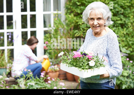 Teenage Granddaughter aider grand-mère à jardin Banque D'Images