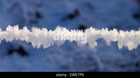 Cristaux de glace sur les branches d'arbres, le lac Myvatn, l'Islande Banque D'Images