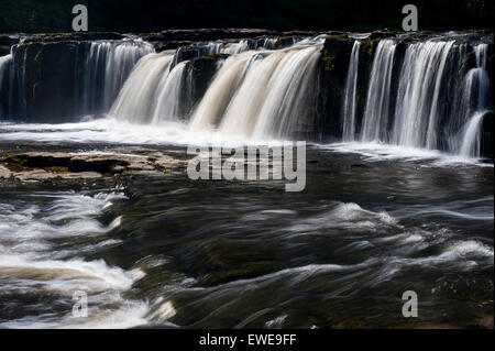 Aysgarth Falls dans le Yorkshire Dales National Park sur la Rivière Ure dans Wensleydale, UK. Banque D'Images