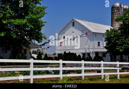 Le Comté de Lancaster en Pennsylvanie : fraîchement lavés blanchisserie est suspendu à une corde à linge parallèle-Amish farm * Banque D'Images