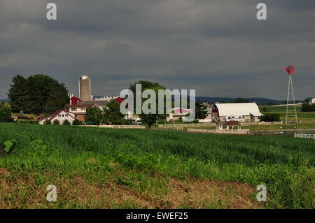 Le Comté de Lancaster en Pennsylvanie : Grand Amish farm complexe avec la ferme, granges, silos, et le moulin entouré par les cultures d'été Banque D'Images