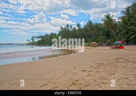 Plage avec parasols et femme surfer sur la plage de sable dans le soleil l'après-midi sur la brume Rocky Point Beach le 21 décembre 2015 à Tanga Banque D'Images