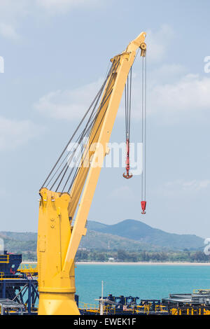 Grue jaune sur un ciel bleu. Banque D'Images