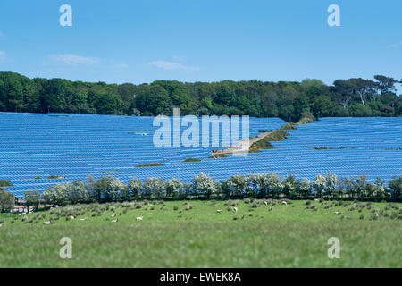 Ferme solaire dans la région de Cumbria. Couverture panneaux plus de 80 acres de terres pour produire de l'énergie verte au pâturage ferme près d'Aspatria. UK Banque D'Images