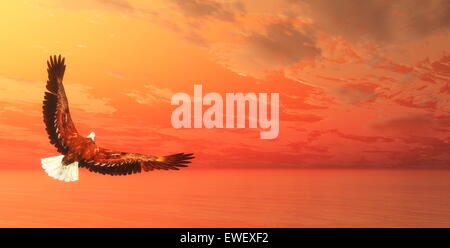 Flying Eagle à l'océan par le coucher du soleil - 3D render Banque D'Images