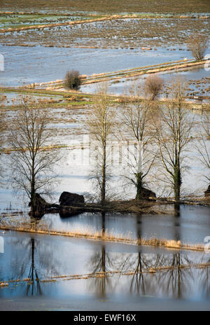 L'amélioration de la météo a donné certaines parties du Somerset Levels la chance de récupérer - ici les champs et les fossés se dégagent de la fl Banque D'Images