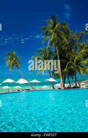 Grande piscine à débordement sur la plage avec des palmiers et des parasols Banque D'Images