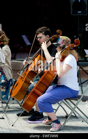Les violoncellistes jouer pizzicato Banque D'Images